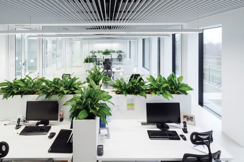 ConceptSystem 59Pa Fenêtres et CW 50-HI Murs rideaux - Pivexin Technology Headquarter situé à Babice, Pologne