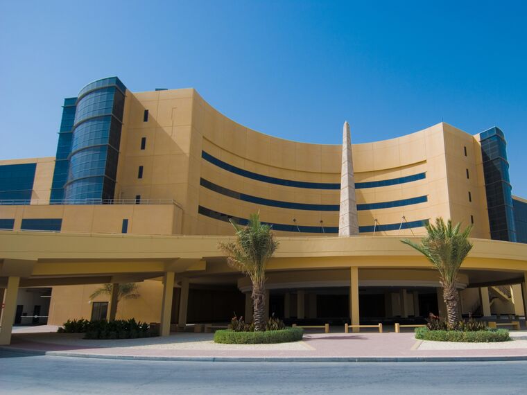 ConceptWall 50 Murs rideaux - Université/Grande Ecole Medical University of Bahrain situé à Muharraq, Bahreïn