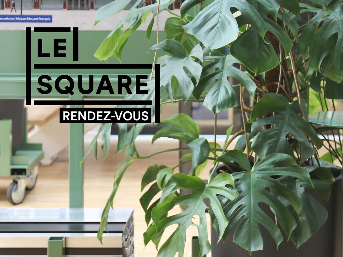 Le Square Reynaers plante verte, profilé aluminium