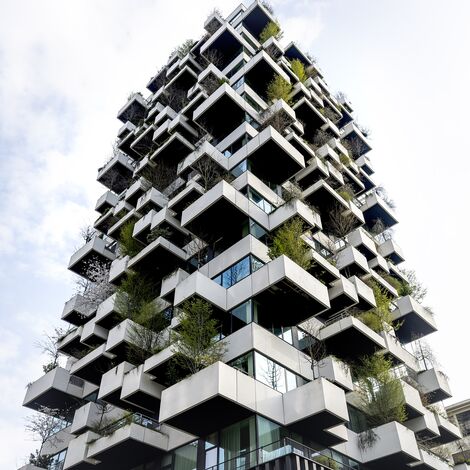 Vue inclinée du projet de construction forestière VERTICAL.